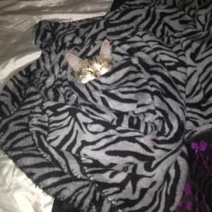 Meet your Posher, Dan